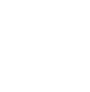 Polestar Performance logo